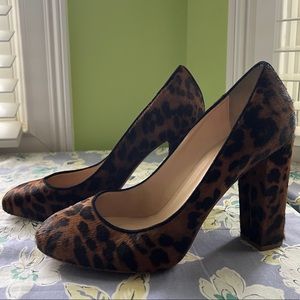 J Crew Collection Leopard Print Block Heels Size 8